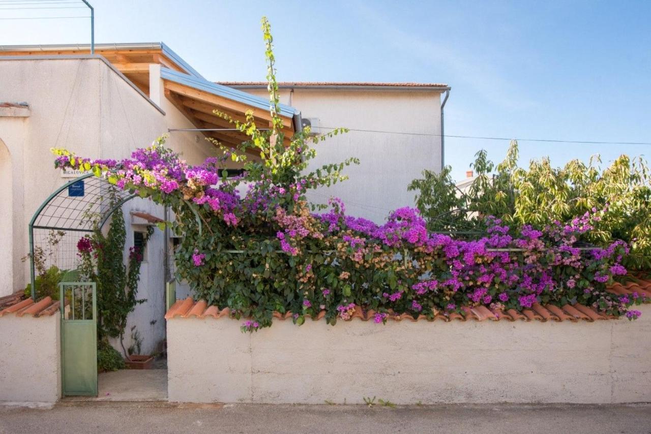 Apartments Anita Summer Vodice Zewnętrze zdjęcie
